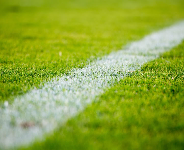 Football Pitch Icon